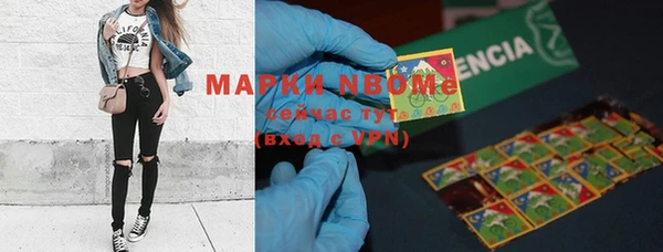 прущие грибы Балахна