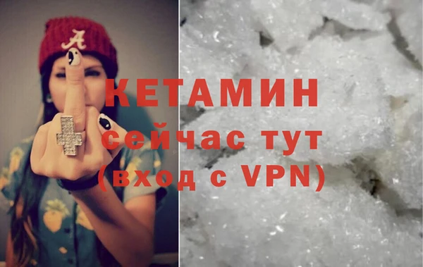 прущие грибы Балахна