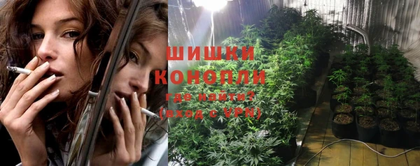 прущие грибы Балахна