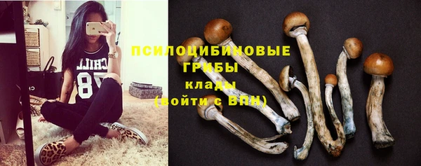 прущие грибы Балахна