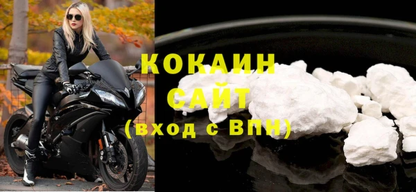 прущие грибы Балахна