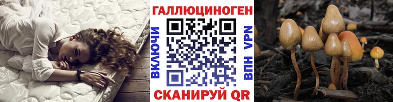 Купить закладки  Дубовка  Галлюциногенные грибы Psilocybine cubensis 